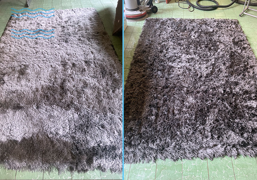 Limpieza de salas en Guadalajara